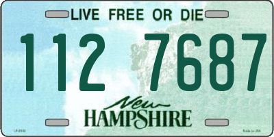 NH license plate 1127687