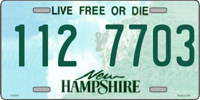 NH license plate 1127703