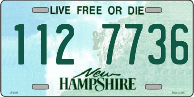 NH license plate 1127736
