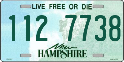 NH license plate 1127738