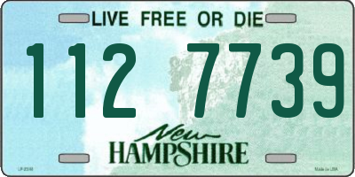 NH license plate 1127739