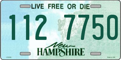 NH license plate 1127750