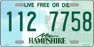 NH license plate 1127758