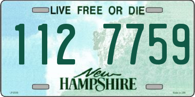 NH license plate 1127759
