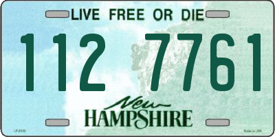 NH license plate 1127761