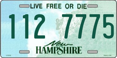 NH license plate 1127775
