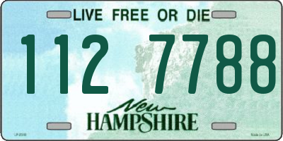 NH license plate 1127788