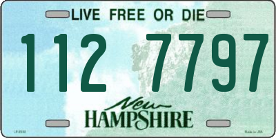 NH license plate 1127797