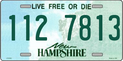 NH license plate 1127813