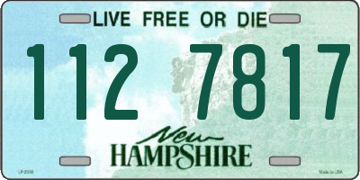 NH license plate 1127817