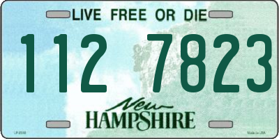 NH license plate 1127823