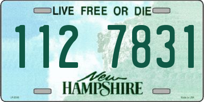 NH license plate 1127831