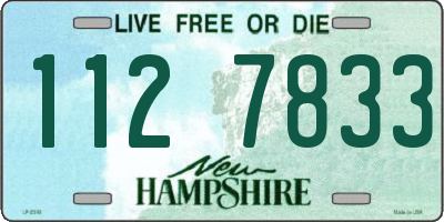 NH license plate 1127833