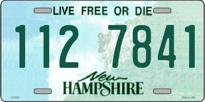 NH license plate 1127841