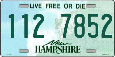 NH license plate 1127852