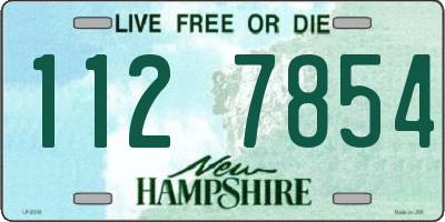 NH license plate 1127854