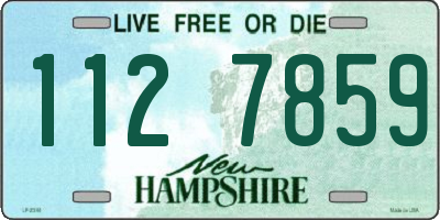 NH license plate 1127859