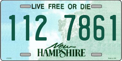 NH license plate 1127861
