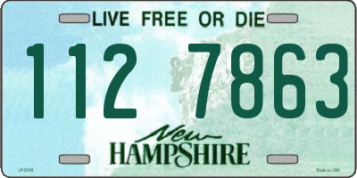NH license plate 1127863
