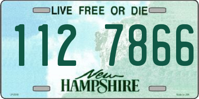 NH license plate 1127866