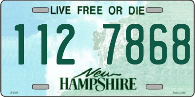 NH license plate 1127868
