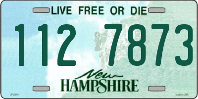 NH license plate 1127873