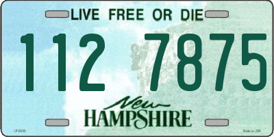 NH license plate 1127875
