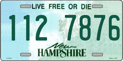 NH license plate 1127876