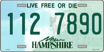 NH license plate 1127890