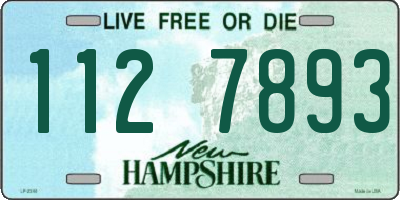 NH license plate 1127893