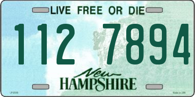 NH license plate 1127894