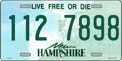 NH license plate 1127898