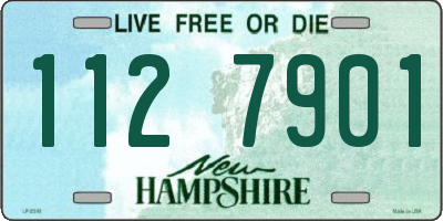 NH license plate 1127901