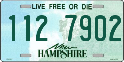 NH license plate 1127902