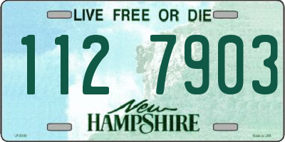 NH license plate 1127903