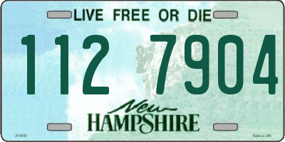 NH license plate 1127904