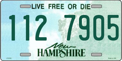 NH license plate 1127905