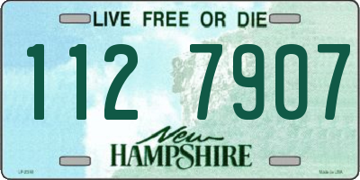 NH license plate 1127907