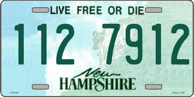 NH license plate 1127912