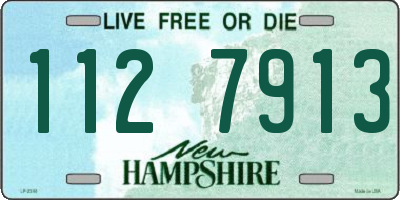 NH license plate 1127913