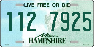 NH license plate 1127925