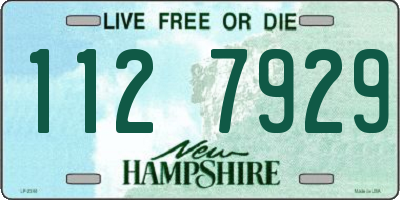 NH license plate 1127929