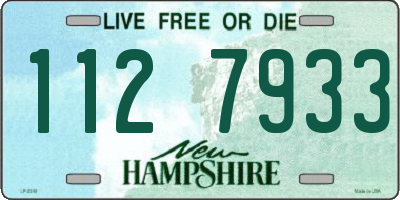 NH license plate 1127933