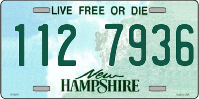 NH license plate 1127936