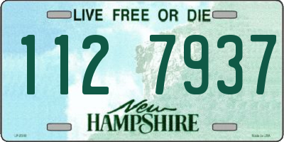 NH license plate 1127937