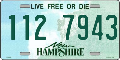 NH license plate 1127943