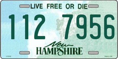 NH license plate 1127956