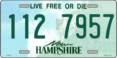 NH license plate 1127957