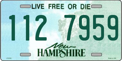 NH license plate 1127959