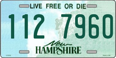 NH license plate 1127960